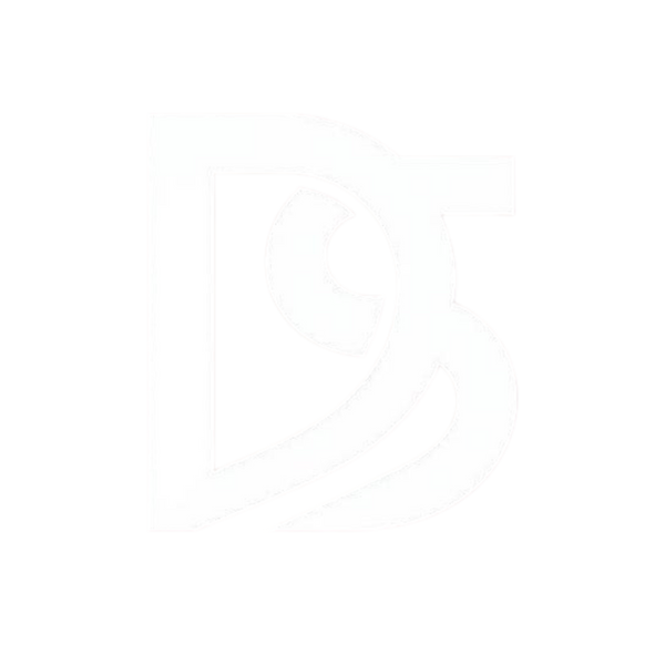 DS Official - Steam Cleaner